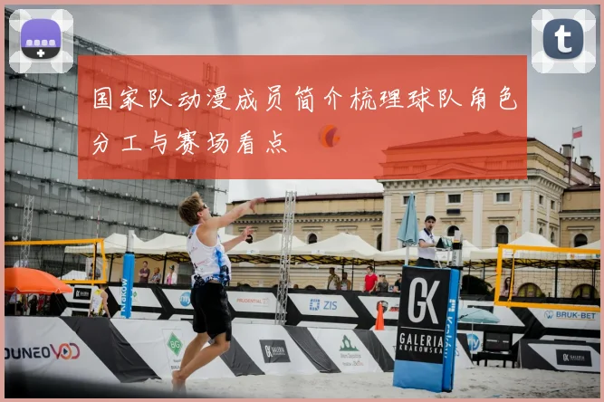 国家队动漫成员简介梳理球队角色分工与赛场看点