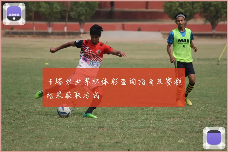 卡塔尔世界杯体彩查询指南及赛程结果获取方式