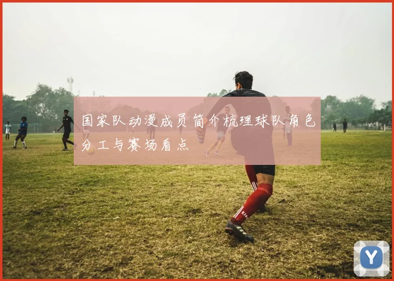 国家队动漫成员简介梳理球队角色分工与赛场看点
