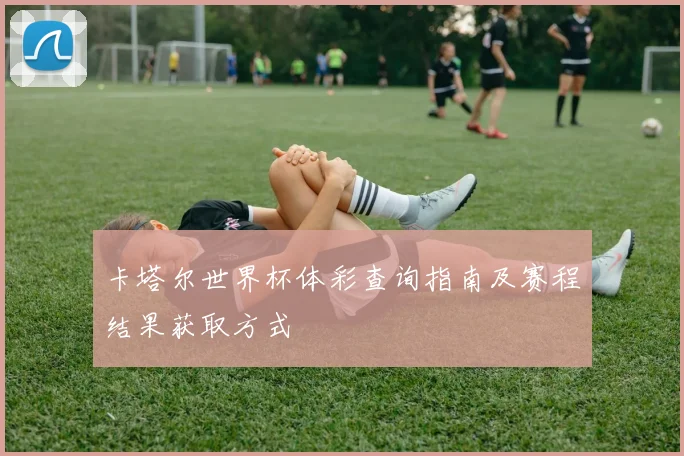 卡塔尔世界杯体彩查询指南及赛程结果获取方式